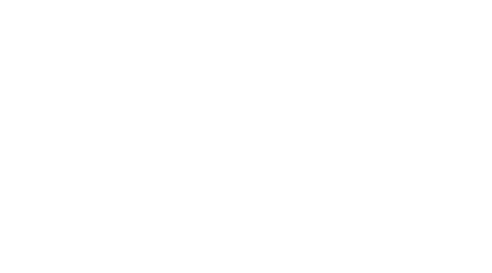 Rhine-Main Universities